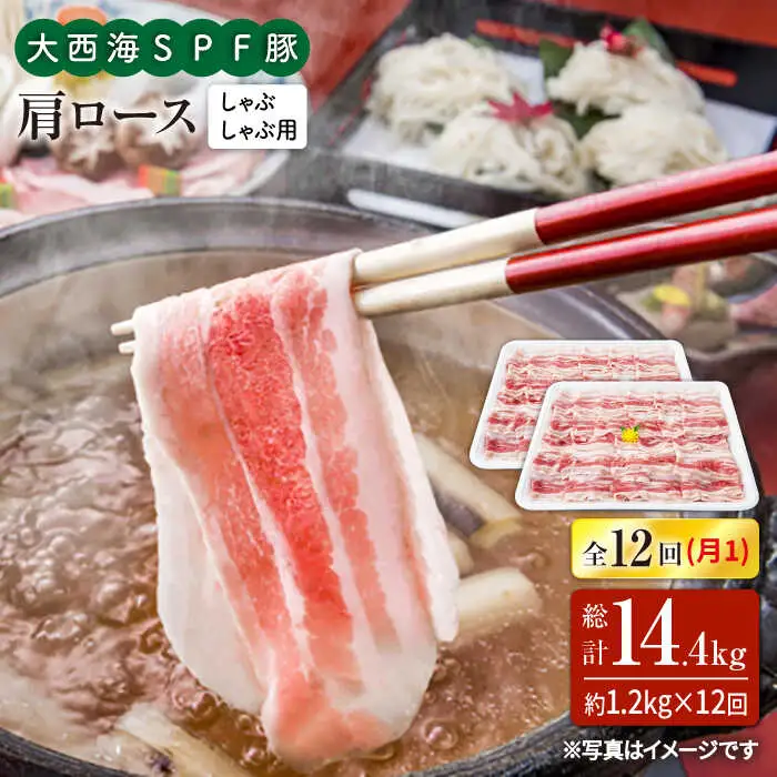 12回定期便 大西海SPF豚 肩ロース（しゃぶしゃぶ用）計1.2kg 訳あり ＜大西海ファーム＞ [CEK126]