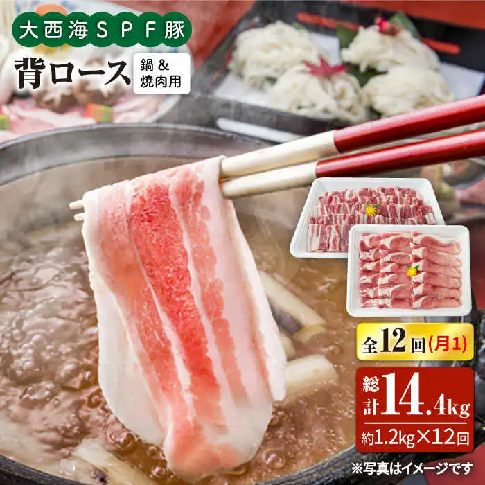 【6回定期便】大西海SPF豚 背ロース（焼肉＆しゃぶしゃぶ用）計1.2kg 訳あり ＜大西海ファーム＞ [CEK129]