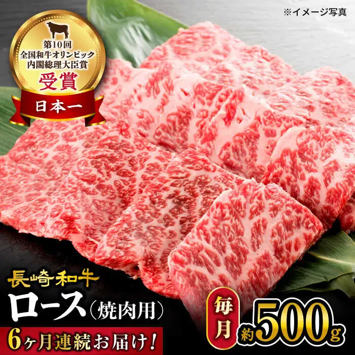 【 訳あり 】【6回定期便】 長崎和牛 ロース 焼肉 用 約500g×6回 定期便 ＜大西海ファーム＞ [CEK145]