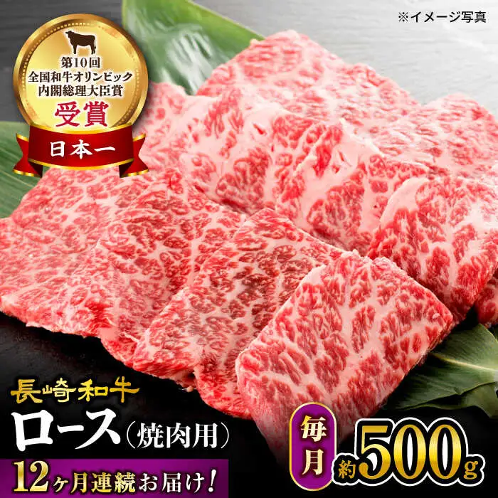 【 訳あり 】【12回定期便】 長崎和牛 ロース 焼肉用 約500g×12回 定期便 ＜大西海ファーム＞ [CEK146]
