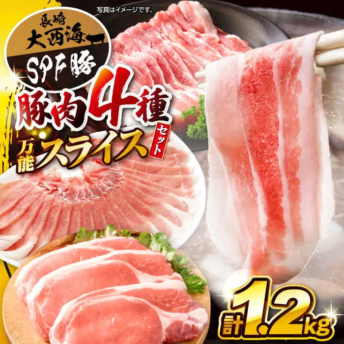 大西海 SPF豚 豚肉 4種セット 1.2kg [CEK162] 豚肉 