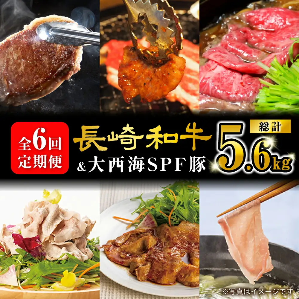 【スタメン揃い！】【6回定期便】 長崎和牛 大西海SPF豚 定期便  訳あり ＜大西海ファーム＞ [CEK185]