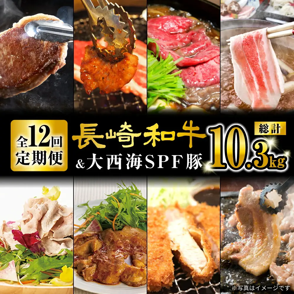 【オールスター定期便☆】【12回定期便】 長崎和牛 大西海SPF豚 定期便  訳あり ＜大西海ファーム＞ [CEK186]