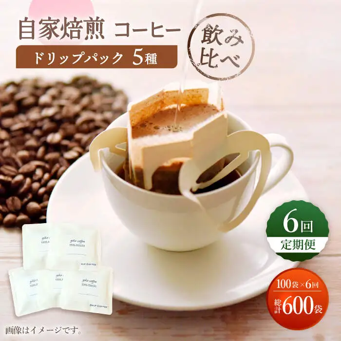 【飲み比べ】【6回定期便】ドリップバック 自家焙煎コーヒー 100袋（5種類×20袋） ＜giko coffee＞ [CFK039]