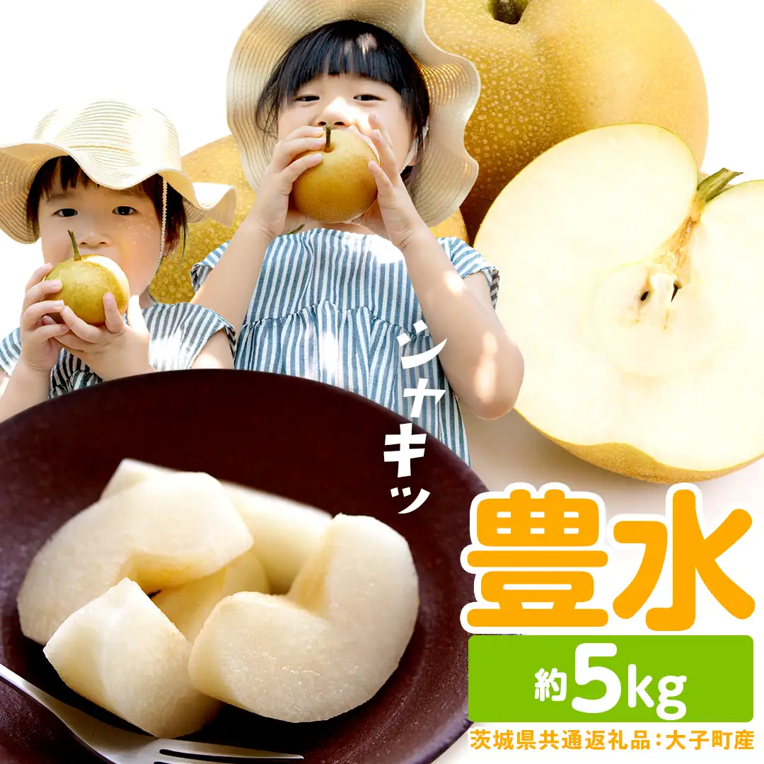 梨 豊水 約5kg 【2026年9月より発送開始】（茨城県共通返礼品 [梨]：大子町産）