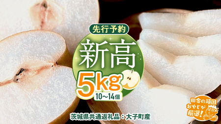 梨 新高 5kg（10〜14個）【2026年10月より発送開始】（茨城県共通返礼品 [梨]：大子町産）