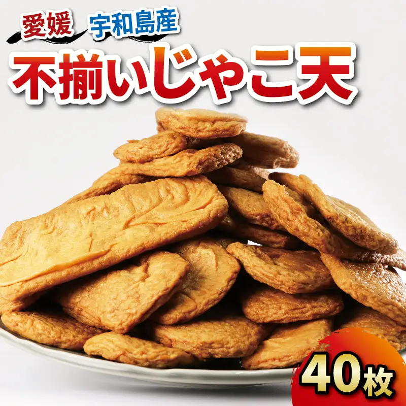 練物 訳あり 不揃い じゃこ天 40枚 中村かまぼこ店 練物 C012-013005