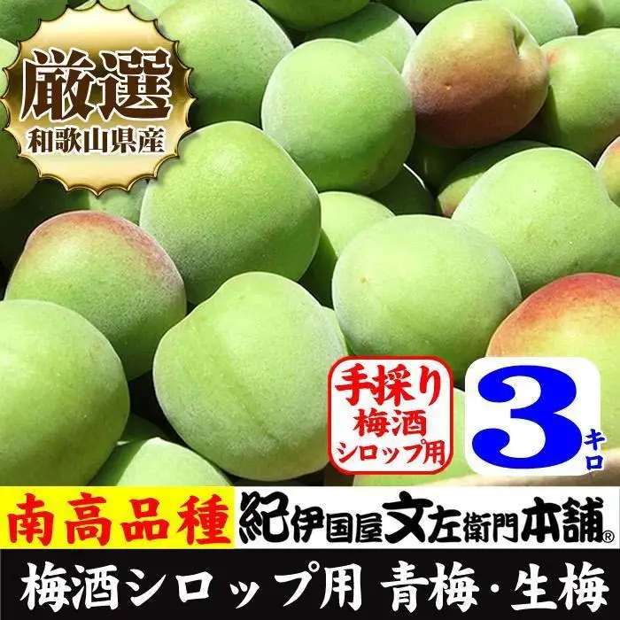 南高梅【緑】3kg 大サイズ 梅酒用 フレッシュ青梅 (生梅) ／紀伊国屋文左衛門本舗