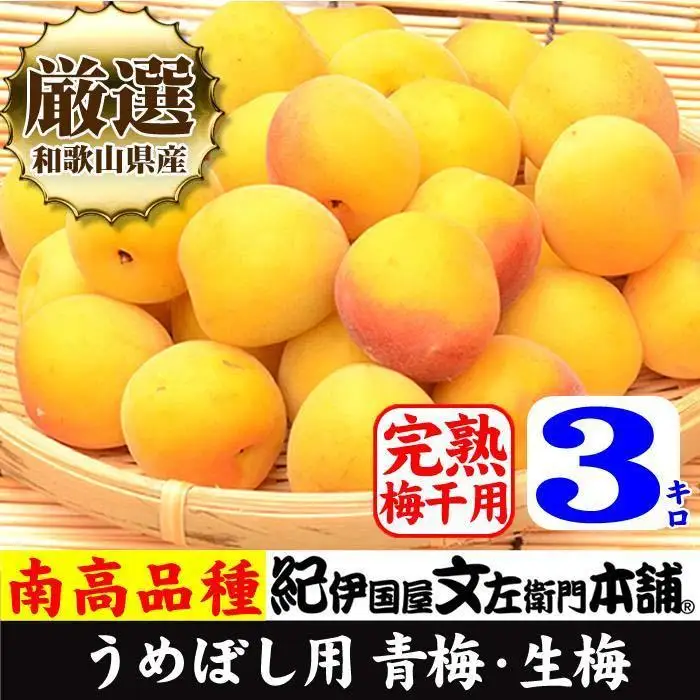 南高梅【完熟】黄色3kg ■特大サイズ 梅干用フレッシュ青梅 (生梅) ／紀伊国屋文左衛門本舗