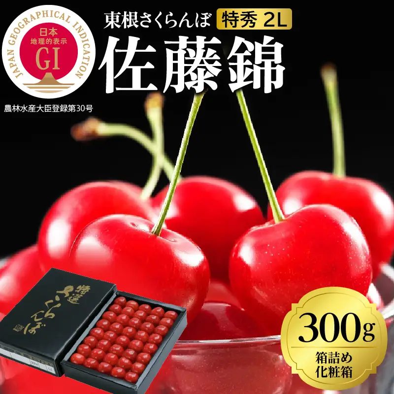 2027年産 GI 東根 さくらんぼ 佐藤錦 300g さくらんぼ