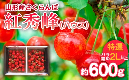 さくらんぼ 紅秀峰(ハウス)特選 バラ詰め 2L以上 約600g 【令和9年産先行予約】FS25-706 くだもの 果物 フルーツ 山形 山形県 山形市 2027年産