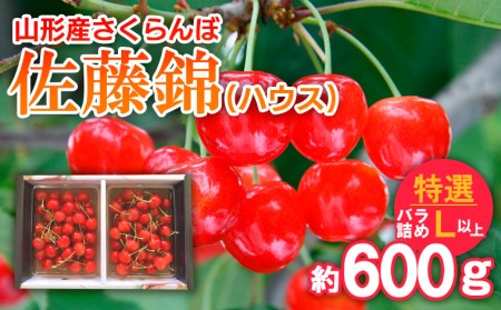 さくらんぼ 佐藤錦(ハウス)特選 バラ詰め L以上 約600g 【令和9年産先行予約】FS25-708 くだもの 果物 フルーツ 山形 山形県 山形市 2027年産
