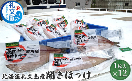 北海道 礼文島産 開きほっけ (1枚入)×12袋［船泊漁業協同組合］【 ほっけ ホッケ 開きほっけ 干物 肉厚 脂のり 焼き魚 海鮮 北海道産 おかず 絶品 大容量 】