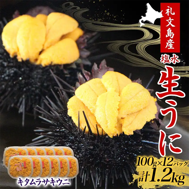 うに 礼文島産 塩水生うに キタムラサキウニ うに【100g×12パック】