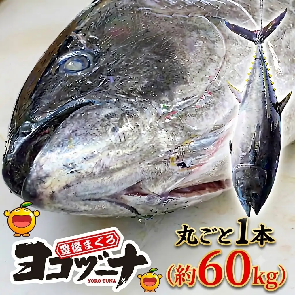 マグロ まるごと1本 約60kg (解体・カットなし) | マグロ 津久見市