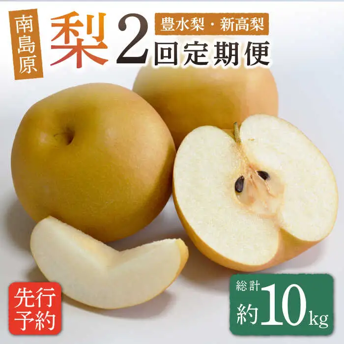 【2026年8月-発送】【2回定期便】南島原市産！梨 食べ比べ / 梨 なし ナシ 果物 フルーツ 豊水梨 新高梨 / 南島原市 / ながいけ [SCH046] 