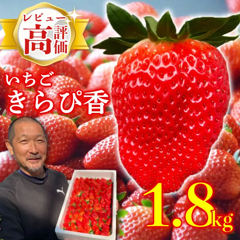 【先行予約】完熟 いちご きらぴ香 1.8kg 【いちご】訳あり 鈴木農園