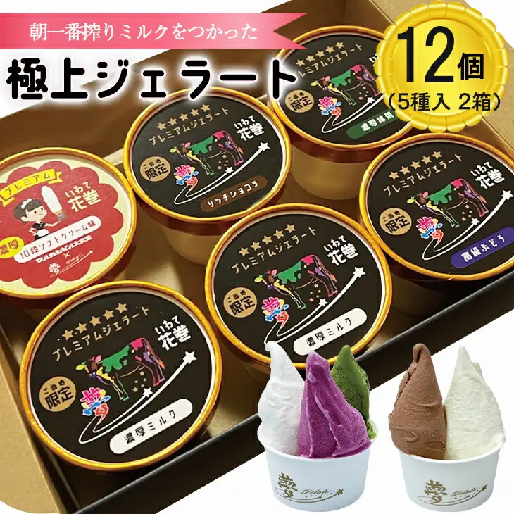 花巻発！極上ジェラート12個セット 120ml×厳選5種類【1422】