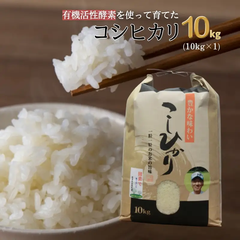 【令和8年産】有機活性酵素を使用 新見産コシヒカリ 白米10kg×1袋