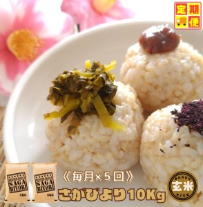CID48_【５回定期便】さがびより１０kg【玄米】（５kg×２袋） 【五つ星お米マイスター厳選！】