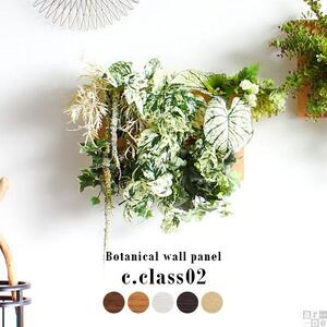 Botanical c.class 02　ホワイトウッド