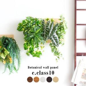 Botanical c.class 10　北欧チーク