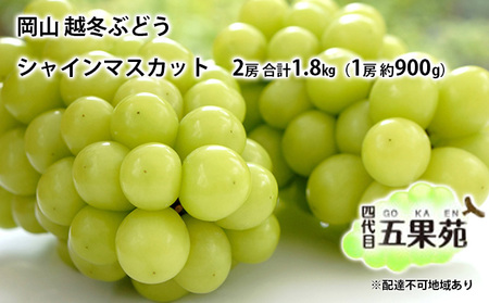 越冬 ぶどうシャイン マスカット 2房 合計1.8kg（1房 約900g） 岡山県産 シャインマスカット