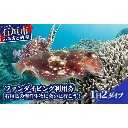 ファンダイビング利用券　石垣島のマンタ・サンゴ・ウミガメに会いに行こう！YD-1-1