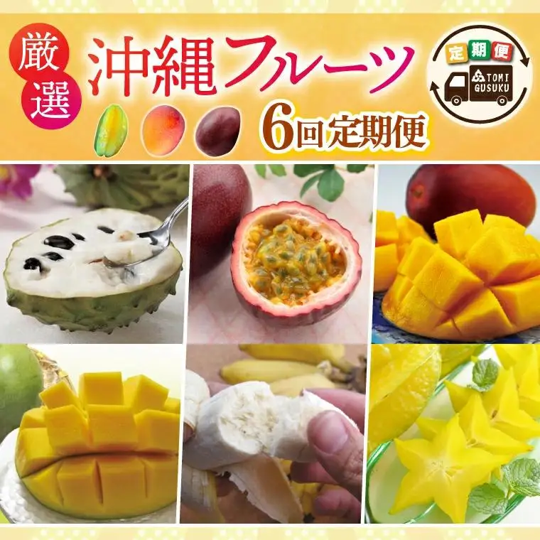 【全6回定期便】厳選！沖縄フルーツ定期便 (AC024)