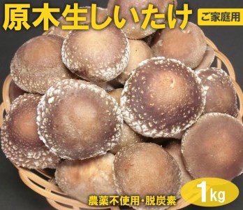原木生しいたけ 1kg 厚肉品 ご家庭用 贈答用 農薬不使用 脱炭素 ※離島への配送不可 _DR03