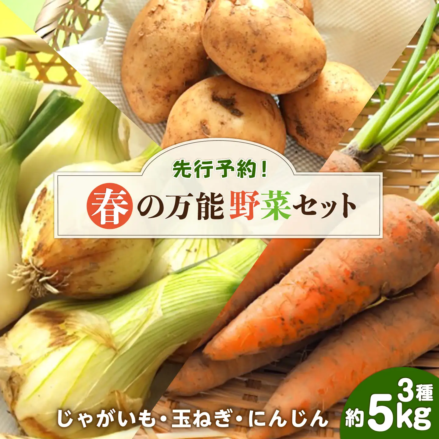 【2027年5月下旬-発送】春の万能 野菜セット 約5kg [SCB064] 野菜