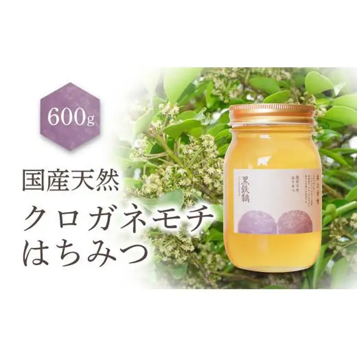 養蜂研究所が提供する「(井上養蜂) 国産 クロガネモチのはちみつ」すっきり上品な蜂蜜