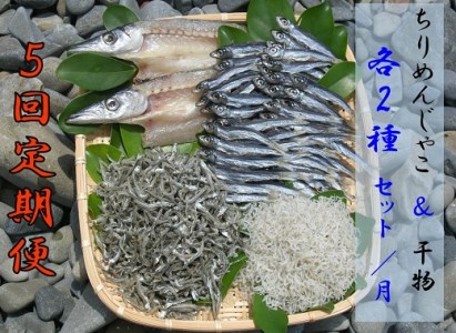【5回定期便】岡本水産加工のちりめんじゃこ2種と干物2種セット　【J00029】
