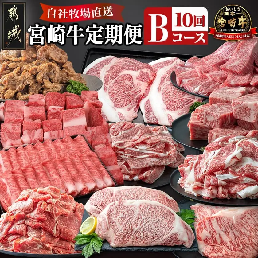 宮崎牛定期便(10回お届け) Bコース〔N25-002-T10〕_(都城市) 宮崎牛 肩ロース サーロイン モモ ロース バラ カルビ 赤身 リブロース スライス ステーキ サイコロ 切り落とし 鉄板焼き 味噌漬け