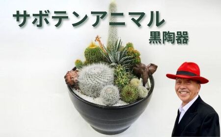サボテンアニマル黒陶器 植物 グリーンインテリア 緑 さぼてん村 10号 黒陶器鉢 寄せ植え サファリ どうぶつ 癒し 玄関 リビング トイレ 