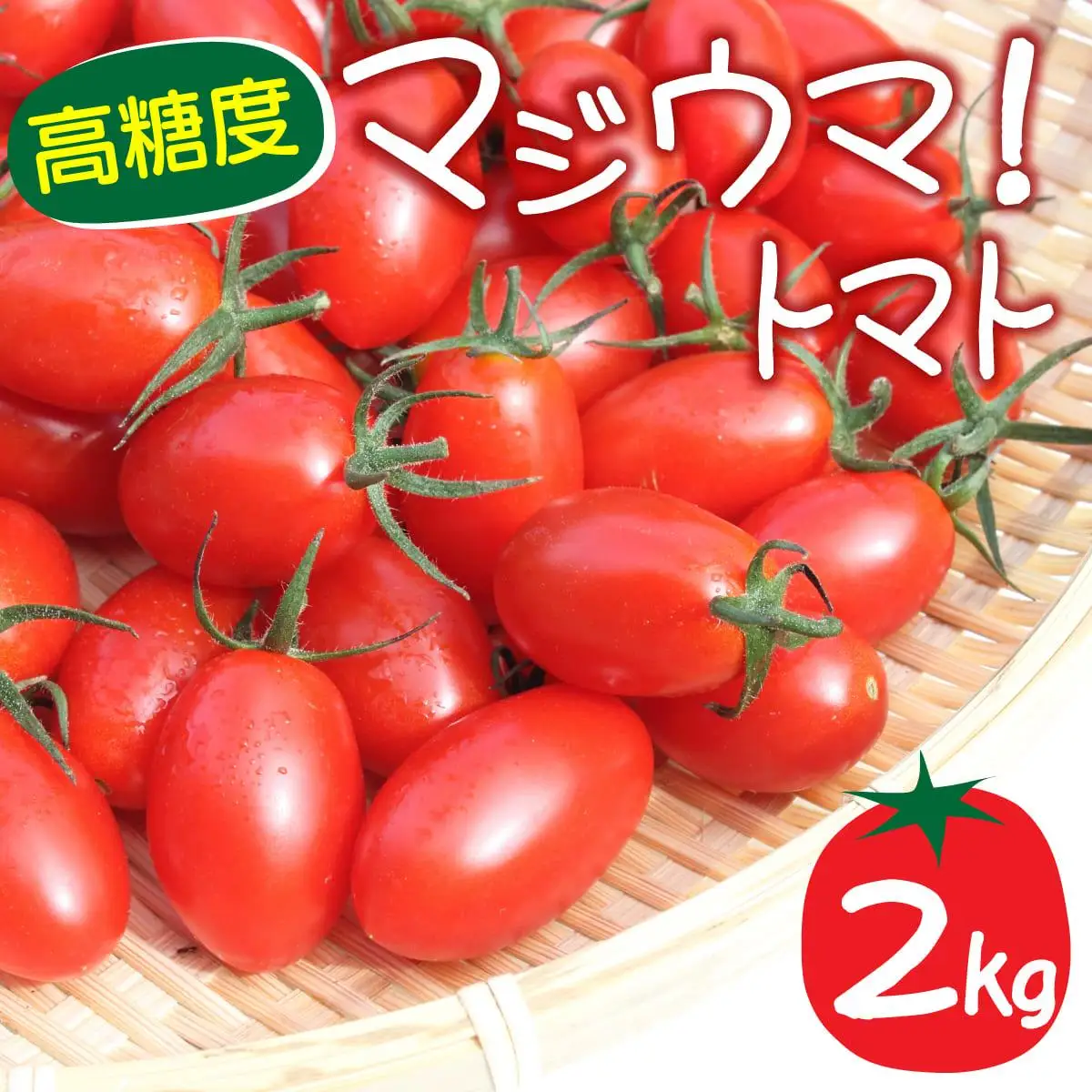 【2026年先行予約】北海道 伊達 岡本園芸 ミニトマト 高糖度 約2kg【マジウマ！トマト】