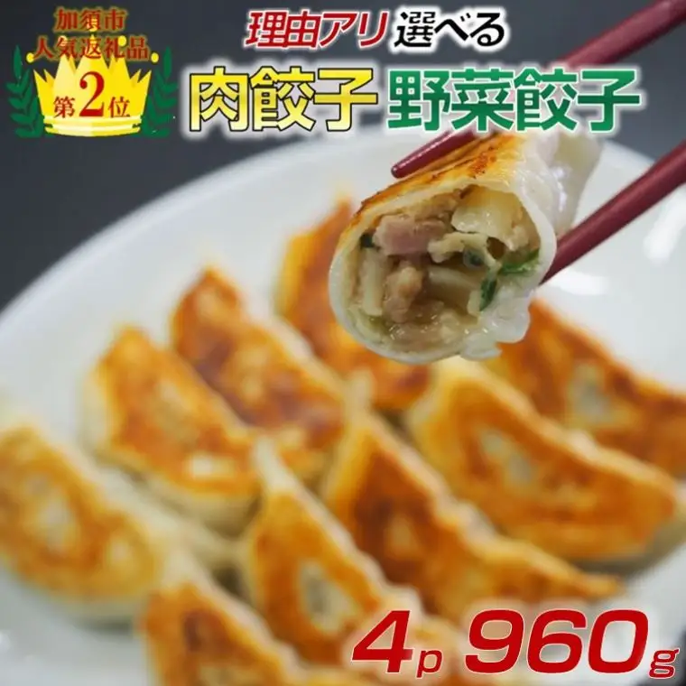 訳あり 食べ比べ 餃子 セット（冷凍　肉・野菜餃子）：4パック  中華