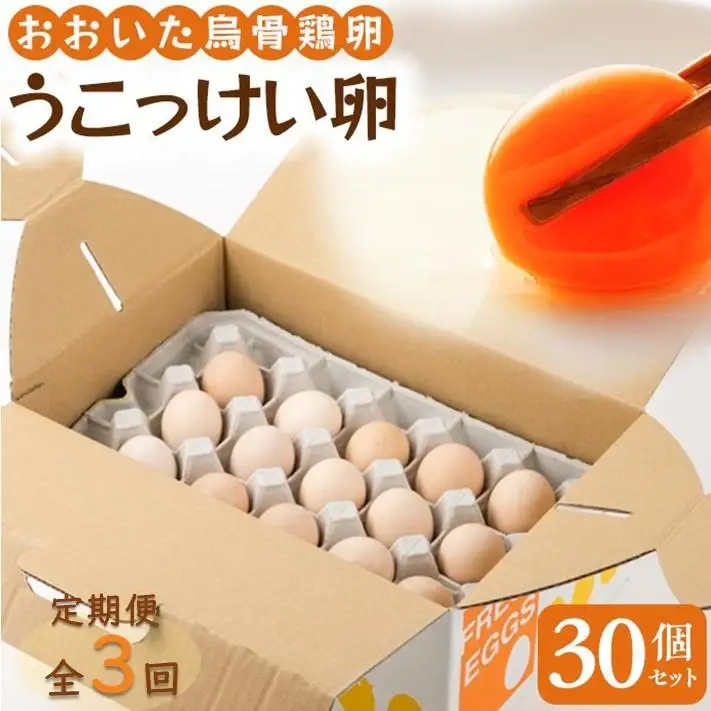 【定期便 全3回】大分うこっけい卵（生食用３０個） | うこっけい