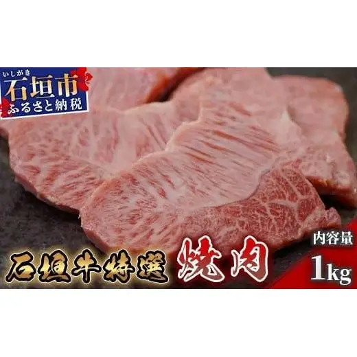 石垣牛 特選焼肉 1kg