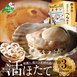 朝どり 新鮮出荷 活ホタテ特大サイズ 3kg前後 (10枚前後)