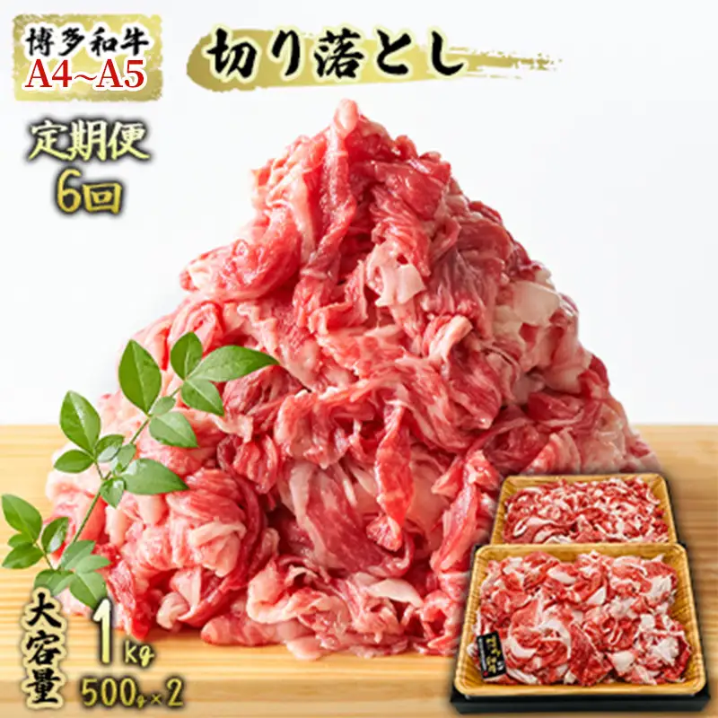 【定期便6ヶ月】 牛肉 A4～A5 切り落とし 合計1000g（500g×2p）博多和牛 牛肉