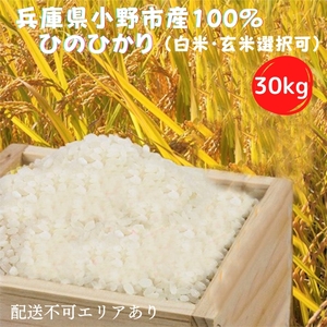米 ひのひかり 30kg 白米 玄米 選べる 兵庫県産 米 白米