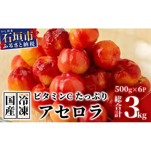 ZH-20 沖縄 石垣島産 《ご家庭用》アセロラ3㎏（冷凍）