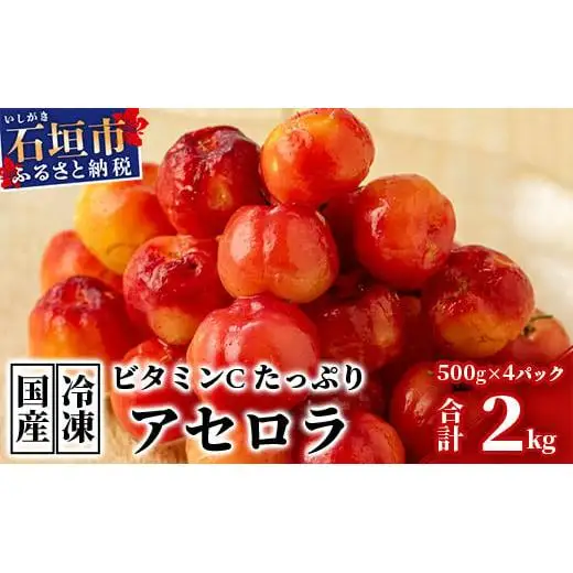 ZH-21 沖縄 石垣島産 《ご家庭用》アセロラ2㎏（冷凍）