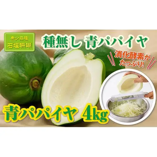 ZH-23 石垣産 青パパイヤ4kg 種なし 希少品種 「 石垣珊瑚 」