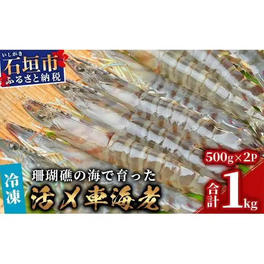 車えび1kg【冷凍】50尾 ～ 65尾 　BE-6