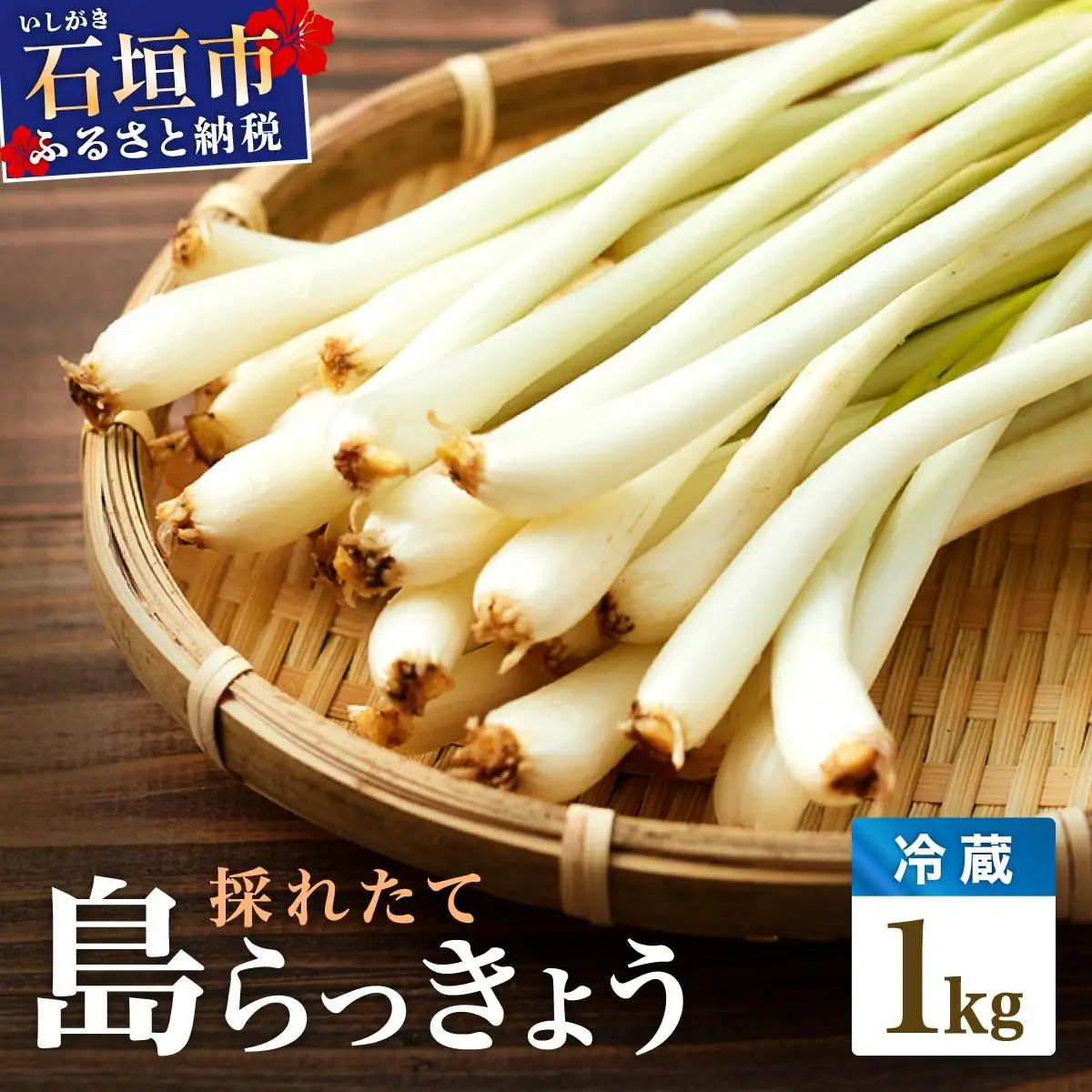 採れたて島らっきょう 農薬・化学肥料不使用 1kg ≪2027年3月中旬～6月下旬発送≫