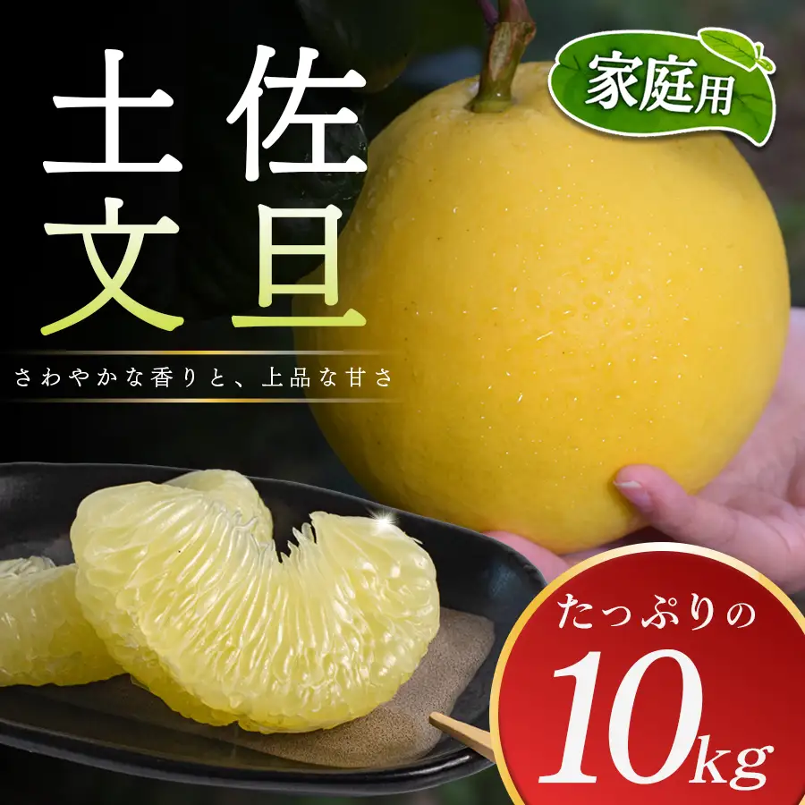 【家庭用大満足の10kg！】温暖な気候が育んだ土佐文旦