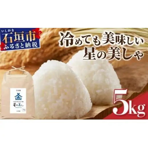 石垣島産 星の美(かい)しゃ 5kg みやぎ米屋　MK-3 