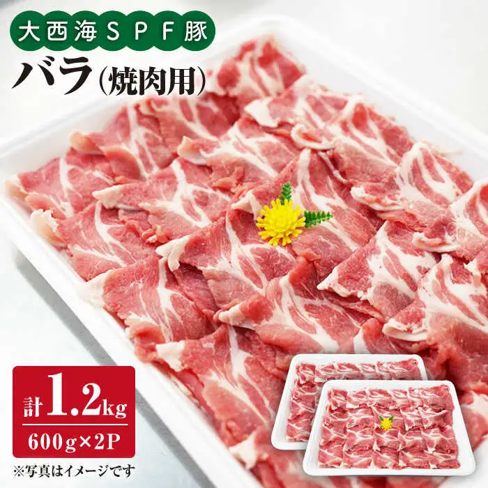 SPF 豚バラ 焼肉 計1.2kg 訳あり ＜大西海ファーム＞ [CEK031] 焼肉 豚バラ